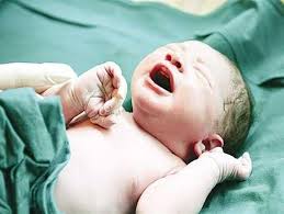 تولد نوزاد عجول سپیدانی در آمبولانس اورژانس