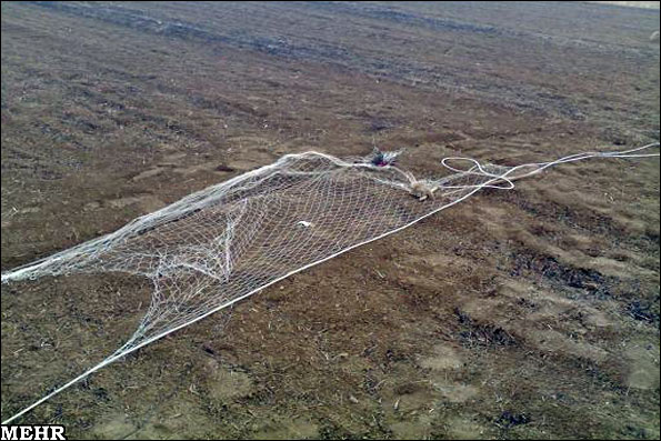 دستگیری 2صیاد غیر بومی پرندگان شکاری