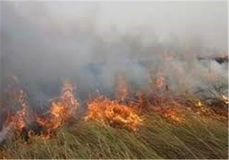 آتش سوزی گسترده درنیزارهای پلیس راه قدیم اهواز