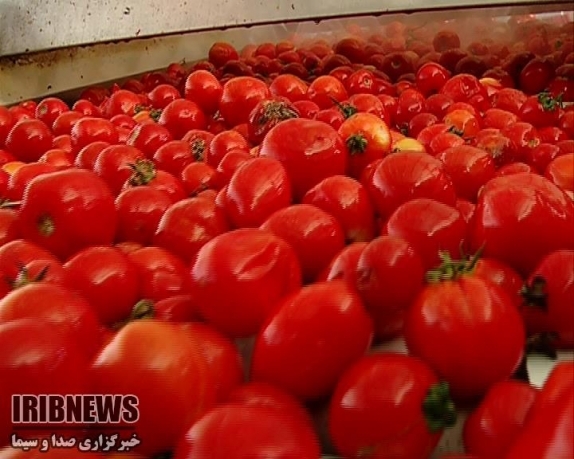 صدور هشت میلیون و 100 هزار دلار محصول کشاورزی از خراسان شمالی