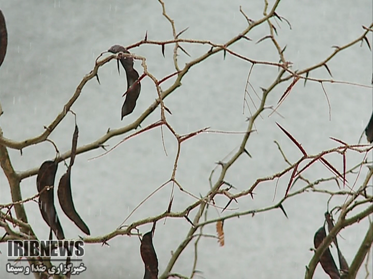 آسمان امروز استان زنجان صاف تا قسمتی ابری آسمان امروز استان زنجان صاف تا قسمتی ابری