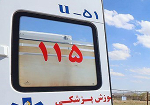 تولد دوقلوهای لردگانی در آمبولانس