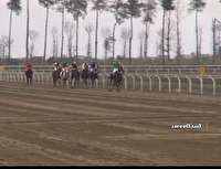 معرفی برترین های هفته دوازدهم کورس سوارکاری گنبدکاووس معرفی برترین های هفته دوازدهم کورس سوارکاری گنبدکاووس