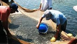 حدود ۴۰۰ هزار قطعه بچه ماهی در شهرستان لالی رهاسازی شد. حدود ۴۰۰ هزار قطعه بچه ماهی در شهرستان لالی رهاسازی شد.