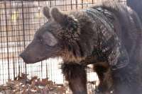 امیدالبرز رها سازی شد +فیلم