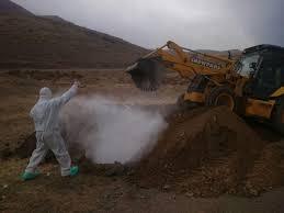 دفن بهداشتی دو تن لاشه طیور در شهرستان البرز