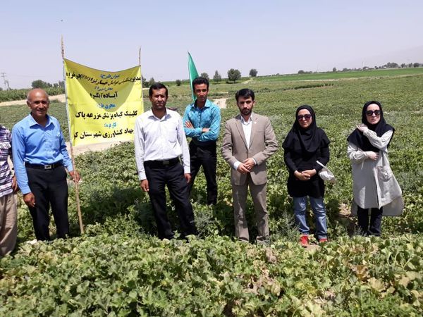 صدور پروانه گواهی محصول سالم در کوار صدور پروانه گواهی محصول سالم در کوار