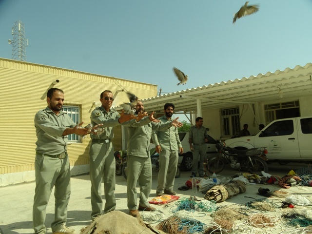 کشف 84 بهله پرنده شکاری از متخلفان صید