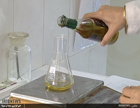 روغن زیتون گیلان، پیشرو در تولید اما در گیرو دار مشکلات