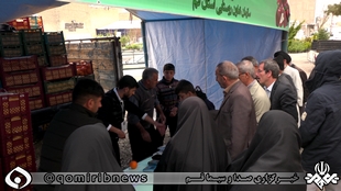 توزیع ۹۵۰ تن سیب و پرتقال در قم