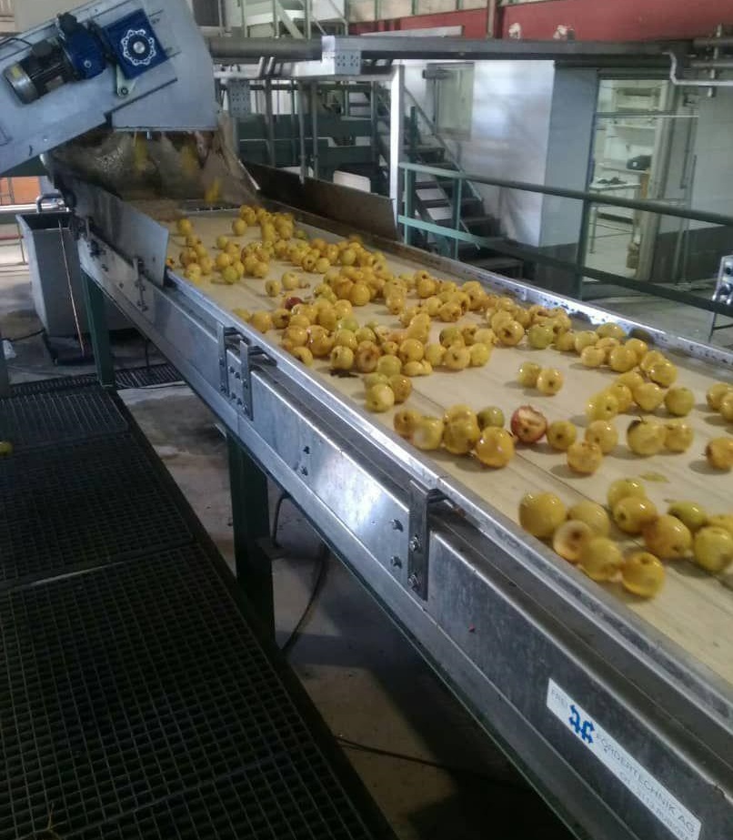 تبدیل سیب تگرگ زده به کنسانتره در شاهرود تبدیل سیب تگرگ زده به کنسانتره در شاهرود