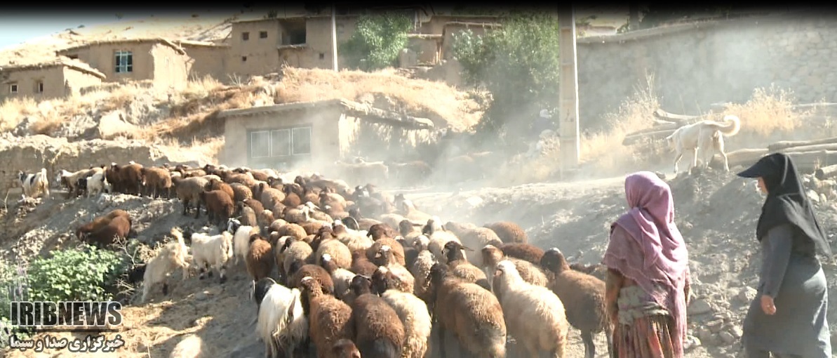 خواستن توانستن است