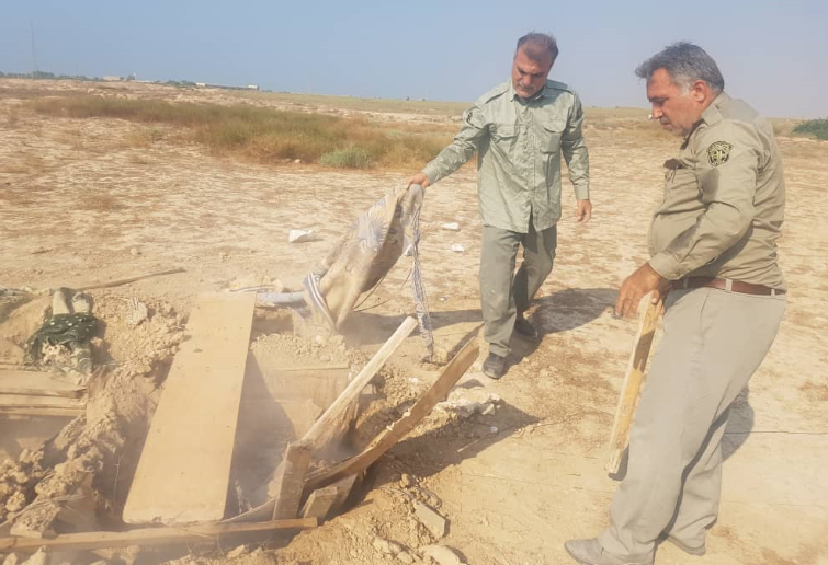 دستگیری شکارچیان غیرمجاز در گناوه