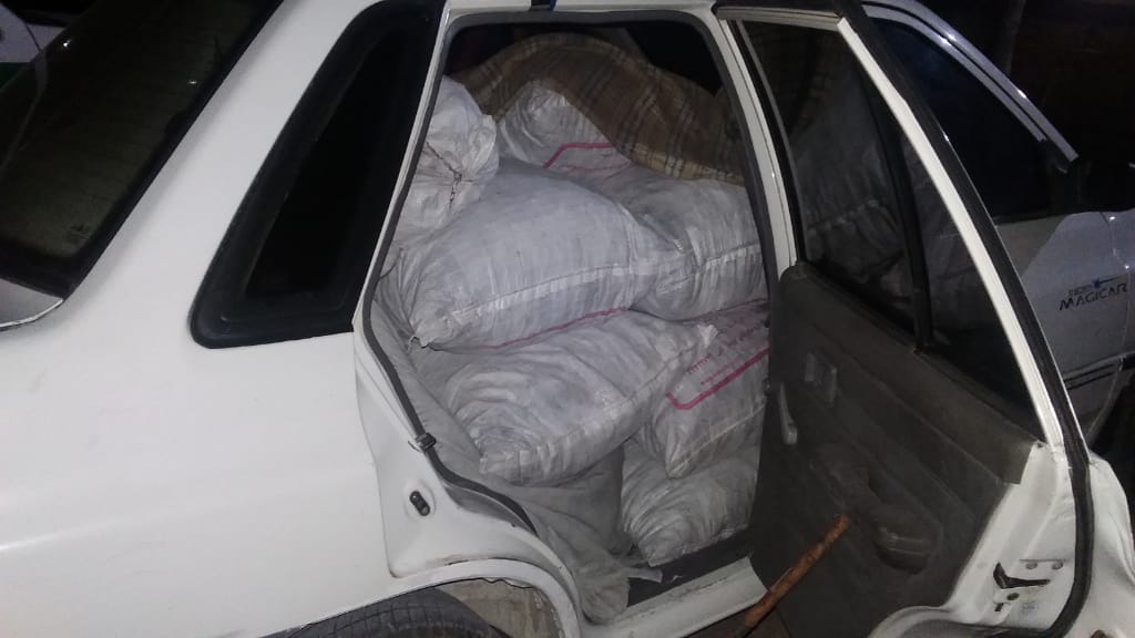 برخورد با عاملان قطع درختان در ممسنی