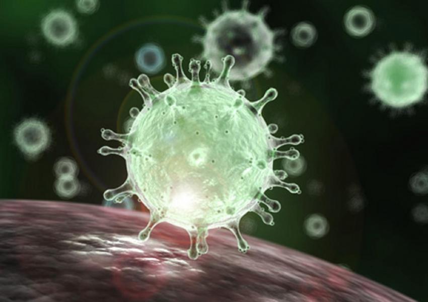 ابتلای ۳میلیون و ۵۵۶۰۰۰ نفر در جهان تا صبح امروز