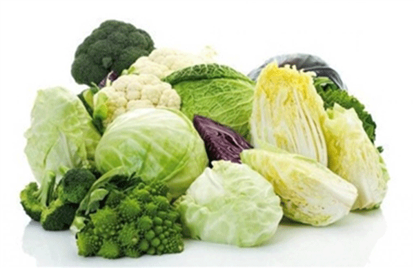 تاثیر بینظیر کلم در مقابله با ویروس کرونا تاثیر بینظیر کلم در مقابله با ویروس کرونا