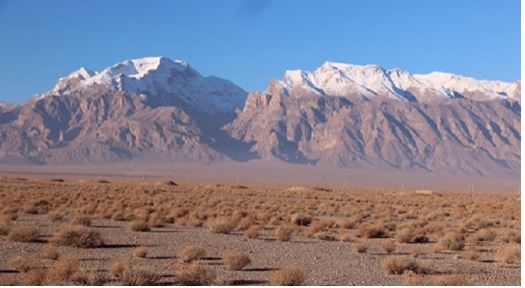 از گوزن زرد تا مار شاخدار از گوزن زرد تا مار شاخدار