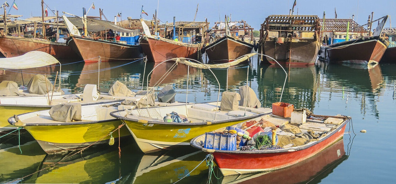 توقیف ۹۸ شناور متخلف صید و صیادی در بوشهر