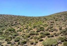 اختصاص ۶۴ میلیارد ریال اعتبار به مقابله با بیابان‌زایی