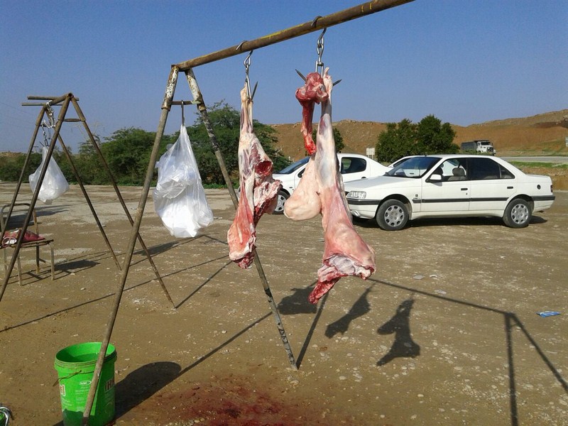 بساط کشتار غیرمجاز دام در اردبیل برچیده می‌شود