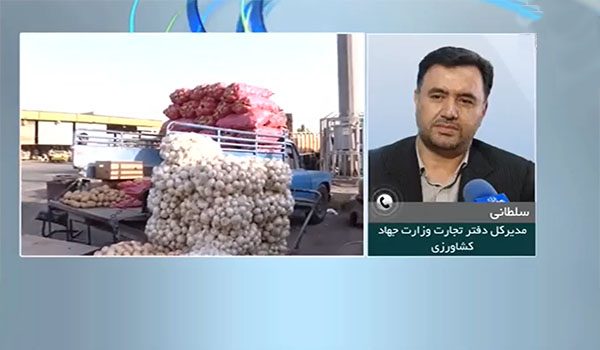 افزایش قیمت پیاز ایرانی در آنسوی مرز‌ها
