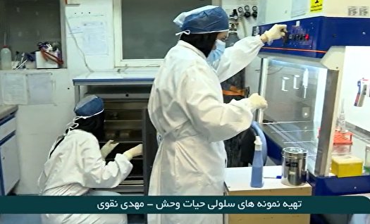 تهیه نمونه‌های سلولی حیات وحش