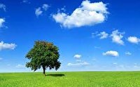 افزایش دمای هوای قم از فردا