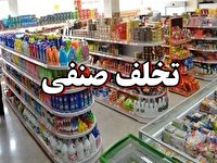 تشکیل ۱۰۰۰ پرونده تخلف صنفی خدماتی