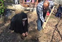 کشت بیش از یک و نیم میلیون اصله نهال در گلستان
