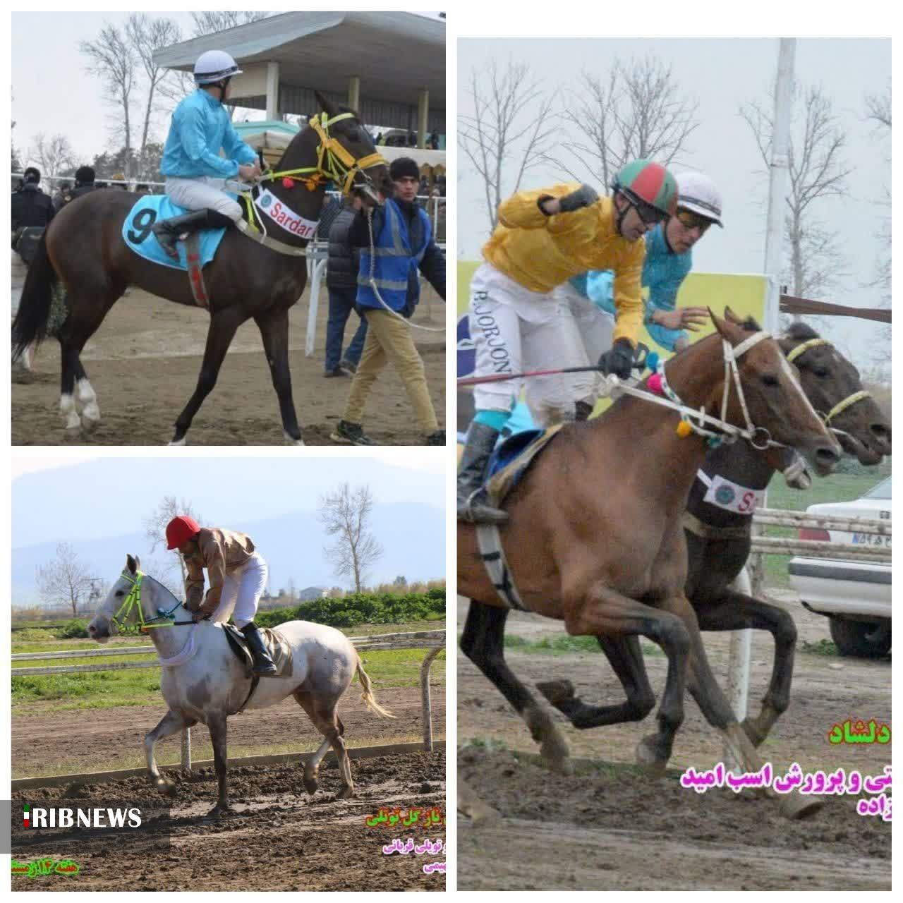 درخشش اسبهای خراسان شمالی در گنبدکاووس درخشش اسبهای خراسان شمالی در گنبدکاووس