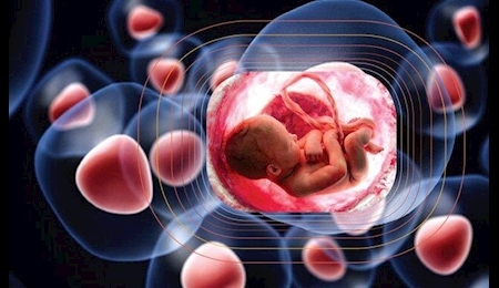 ذخیره سازی بيش از 4 هزار مورد خون بند ناف در مرکز رویان استان البرز ذخیره سازی بيش از 4 هزار مورد خون بند ناف در مرکز رویان استان البرز