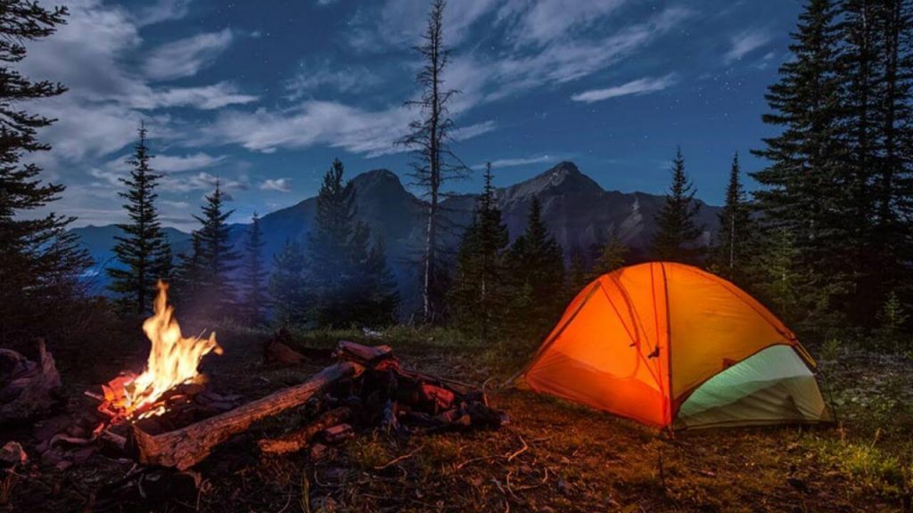 ۱۰ توصیه ضروری برای جنگل نوردی و طبیعت گردی