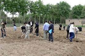 پایداری تولید با آموزش کشاورزان جوان