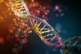 کشف یک هدف درمانی جدید در برابر سرطان