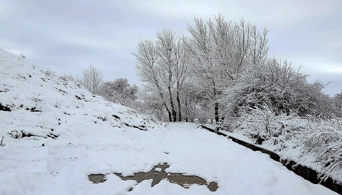 بارش برف و باران در زنجان فردا شدت می‌گیرد