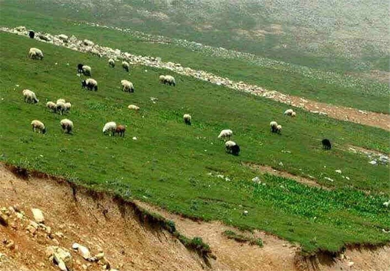 افزایش ۴۲ درصدی اعتبار منابع طبیعی کشور