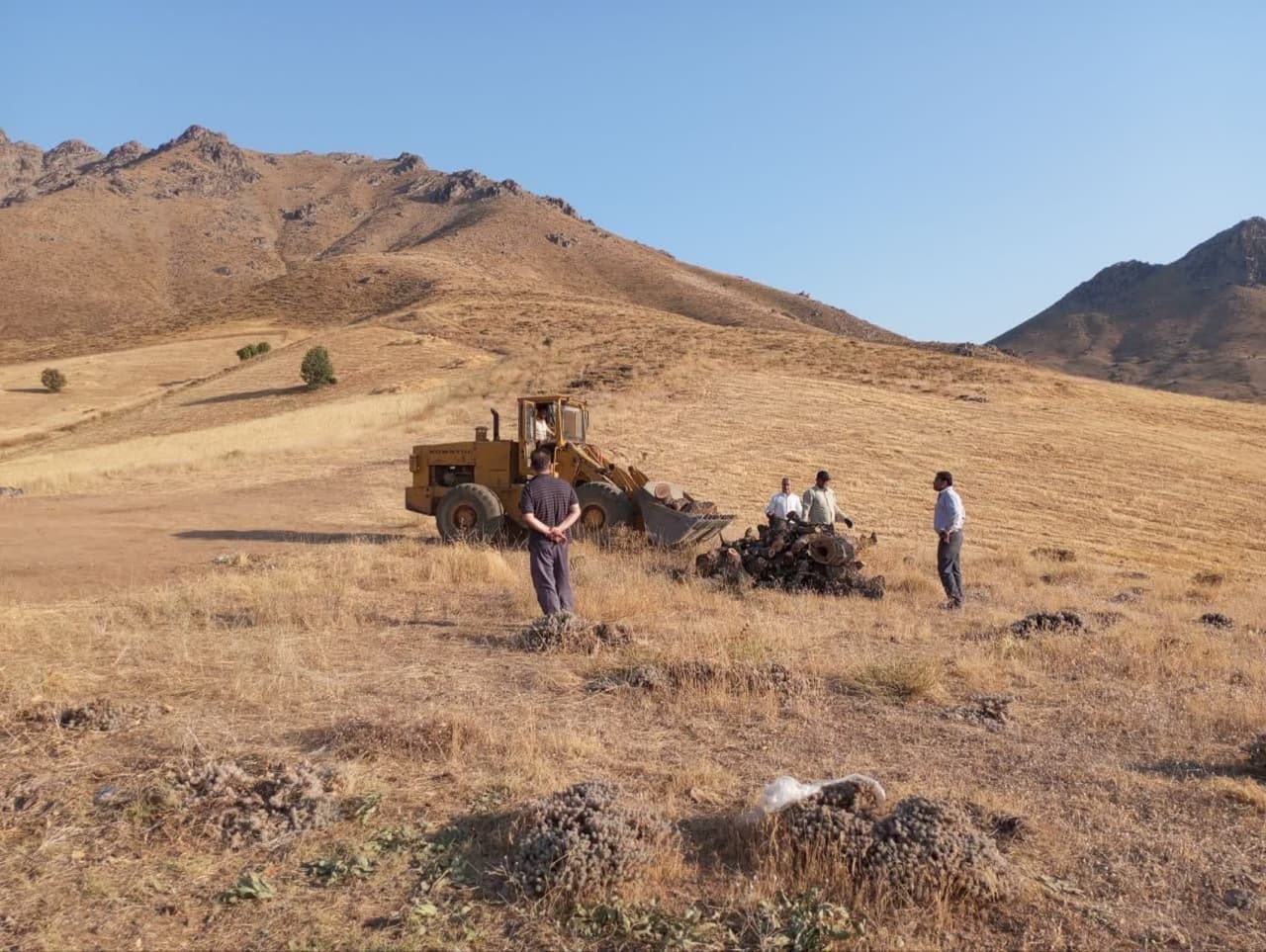 توقیف و ضبط ۱۵ تن چوب جنگلی 