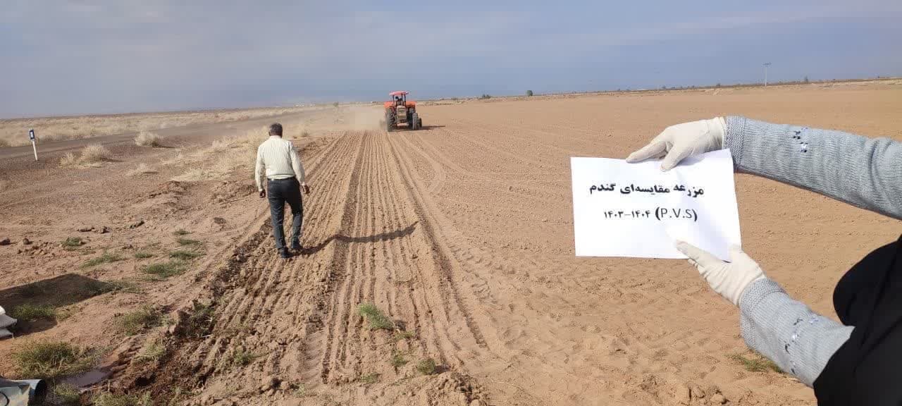 کاشت مزرعه تحقیقی ترویجی جو و گندم، در روستای چاهنو فردوس