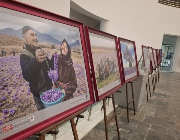 برپایی نمایشگاه عکس زعفران در موزه بزرگ خراسان