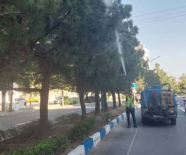 آغاز سمپاشی و محلول‌پاشی درختان  شهر  ارومیه