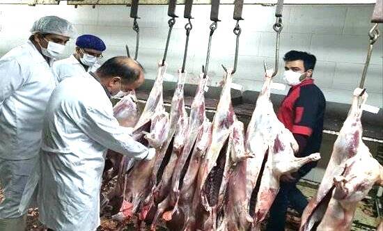 ذبح بیش از هزار راس دام در گیلان با نظارت کامل بازرسان