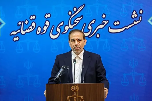 سخنگوی قوه قضائیه: شبکه‌های دشمن در داخل شناسایی شدند