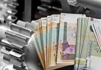 پرداخت حدود ۳۰۰ میلیارد تومان تسهیلات به زنان سرپرست خانوار