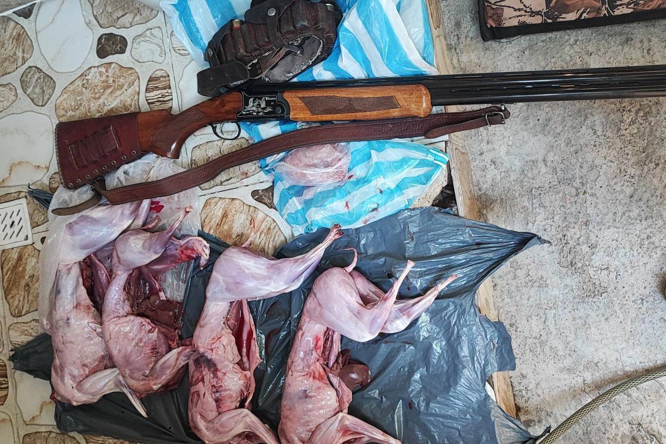 شکارچیان متخلف در پیرانشهر دستگیر شدند شکارچیان متخلف در پیرانشهر دستگیر شدند