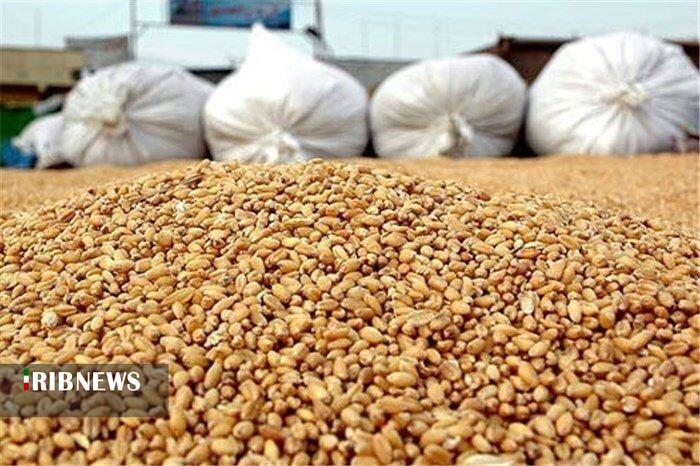 کشف ۲۰۰ تن نهاده دامی احتکار شده در لرستان کشف ۲۰۰ تن نهاده دامی احتکار شده در لرستان