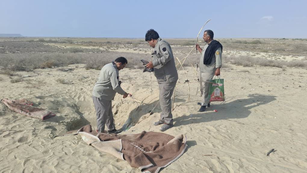 تشدید دستگیری شکارچیان غیرمجاز در فصل بازگیری تشدید دستگیری شکارچیان غیرمجاز در فصل بازگیری