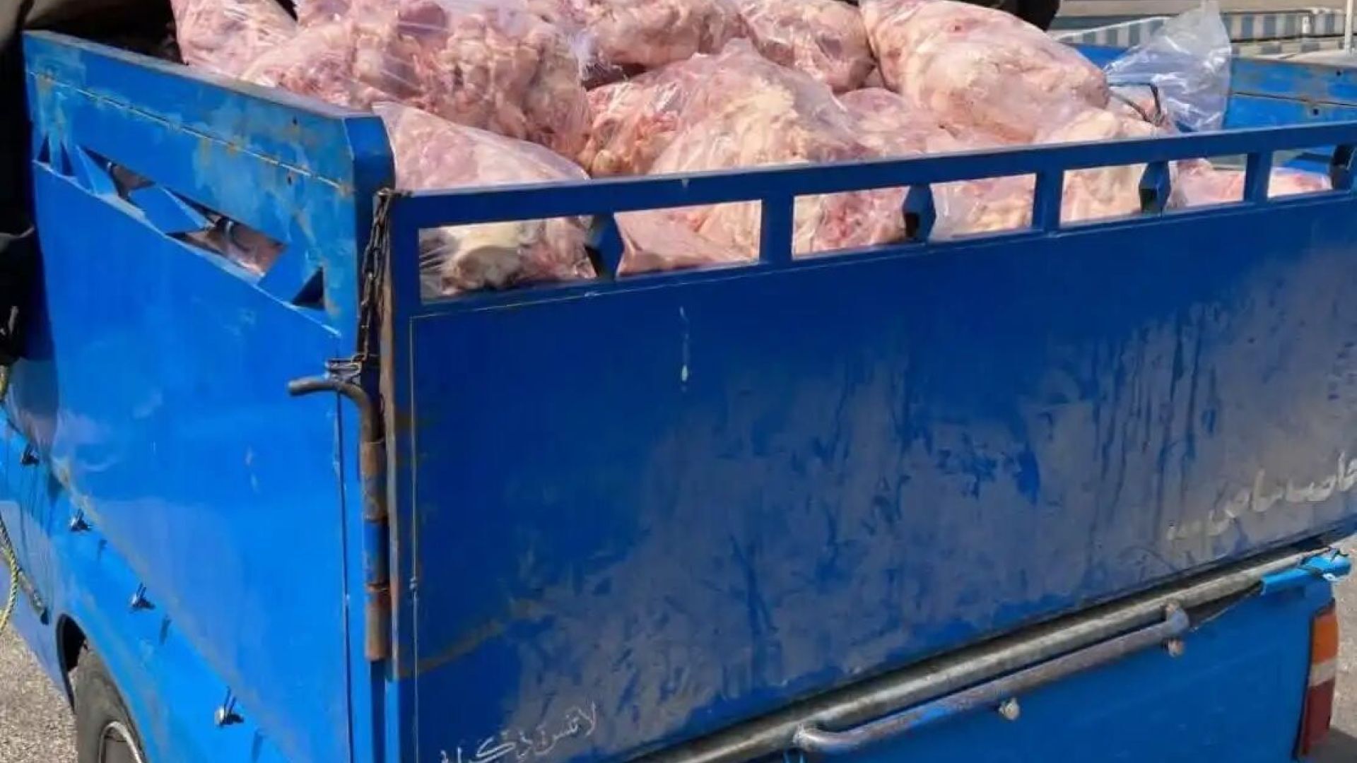 کشف بیش از ۲ تن ضایعات مرغ قبل از رسیدن به کارخانه کشف بیش از ۲ تن ضایعات مرغ قبل از رسیدن به کارخانه