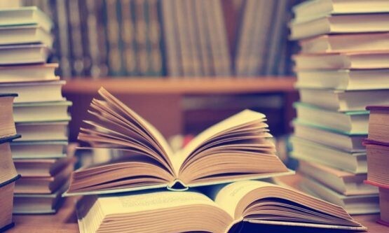 راه اندازی پیاده راه کتاب در پایتخت راه اندازی پیاده راه کتاب در پایتخت