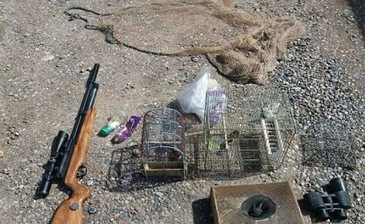 دستگیری شکارچیان متخلف در رفسنجان دستگیری شکارچیان متخلف در رفسنجان
