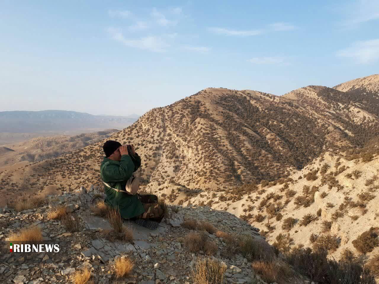 آغاز سرشماری پاییزه پستانداران در خراسان شمالی آغاز سرشماری پاییزه پستانداران در خراسان شمالی